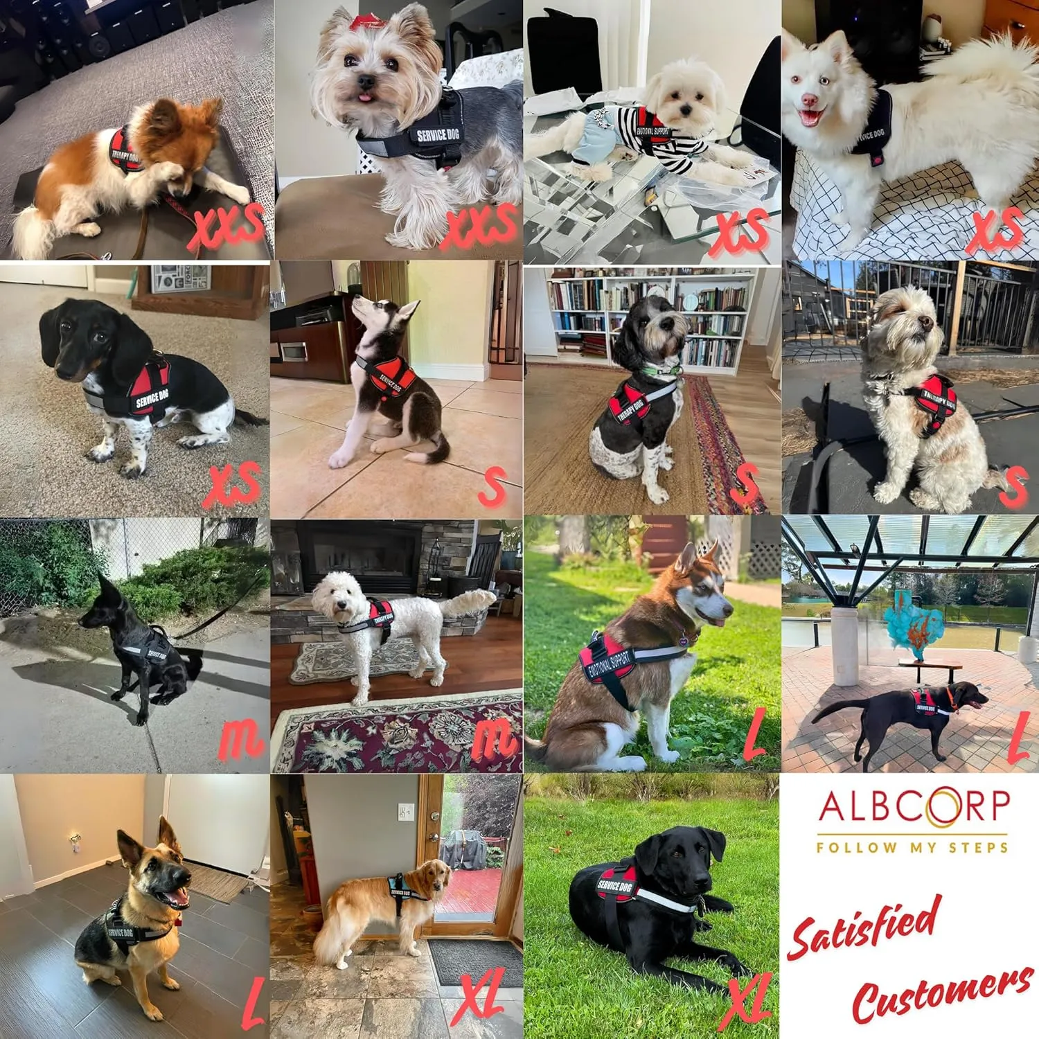 Albcorp Reflective Therapy Dog Vest Harness, Woven Nylon, Adjustable Service Animal Jacket, with 2 Hook and Loop Therapy Dog Removable Patches. Black, Small