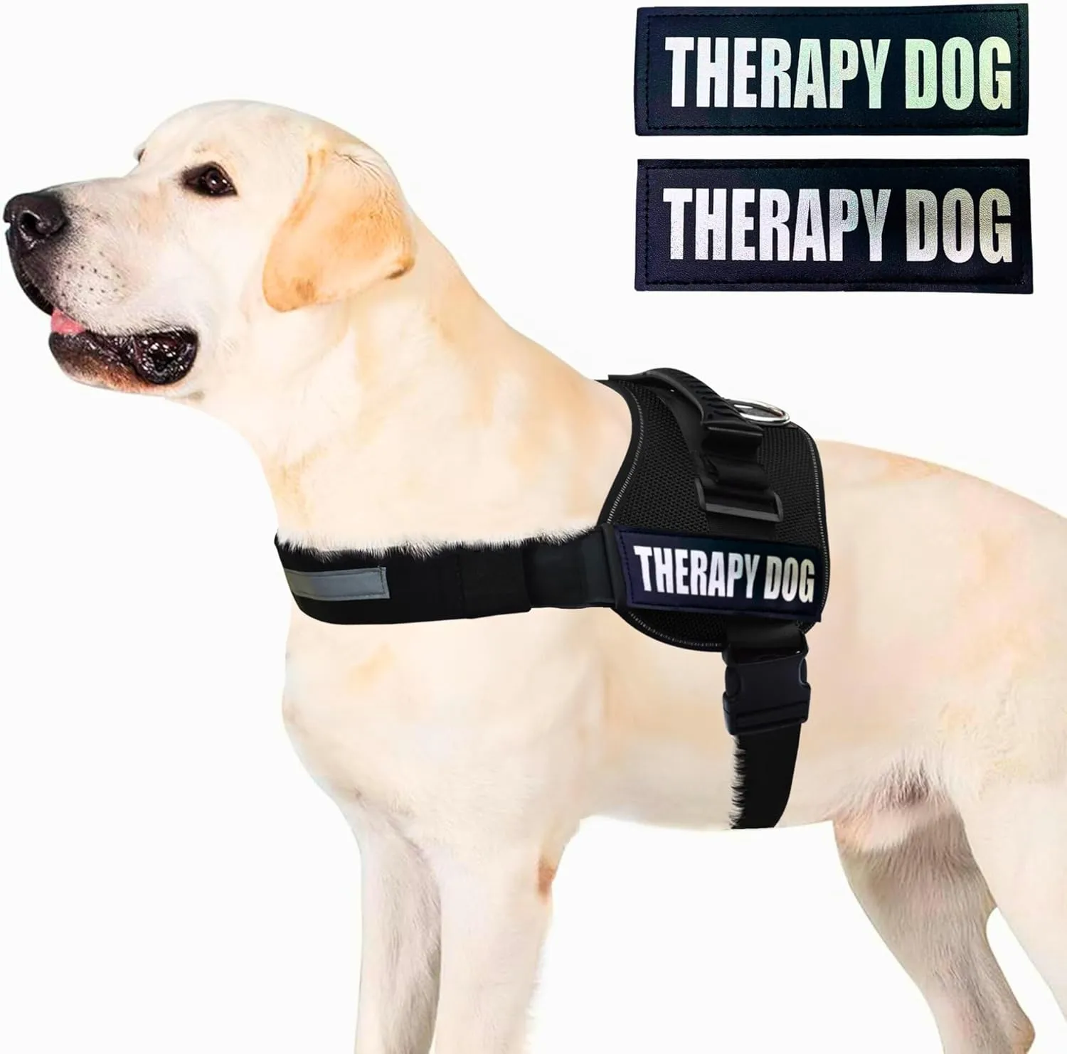 Albcorp Reflective Therapy Dog Vest Harness, Woven Nylon, Adjustable Service Animal Jacket, with 2 Hook and Loop Therapy Dog Removable Patches. Black, Small