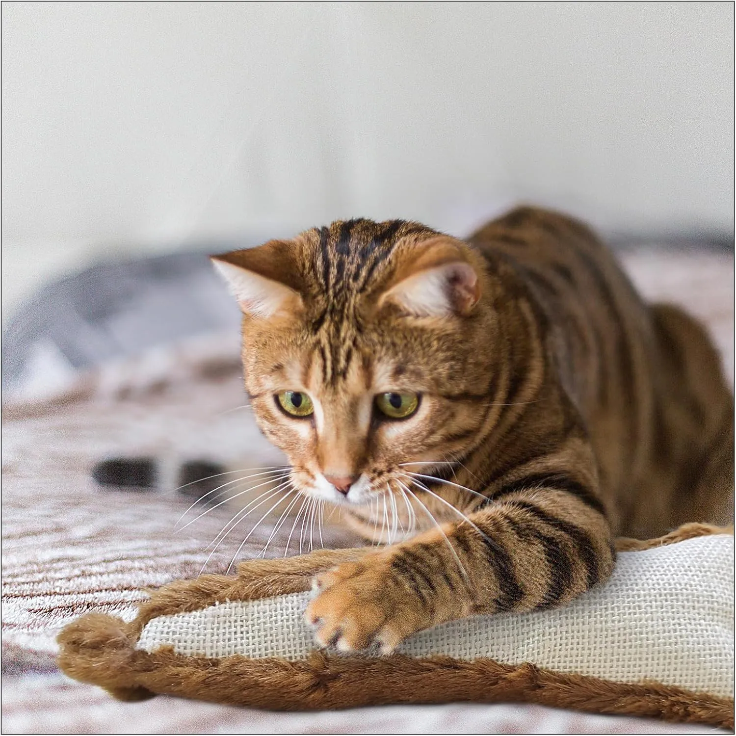 Andiker Cat Toys for Indoor Cats,10.24in Plush Catnip Toy with Crinkle Paper Inside,Fluffy Interactive Cat Toy with Feather and 2 Sisal Scratchers for Biting, Chewing, Scratching and Kicking