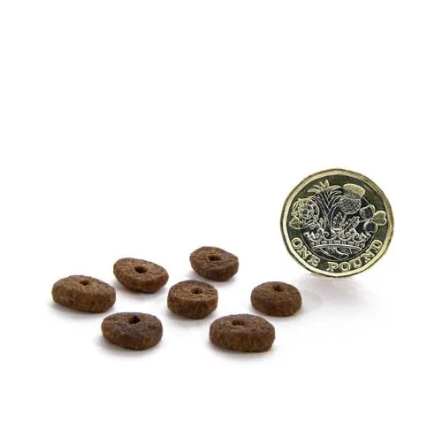 Canagan Small Breed Free-Run Chicken Grain Free Dog Food