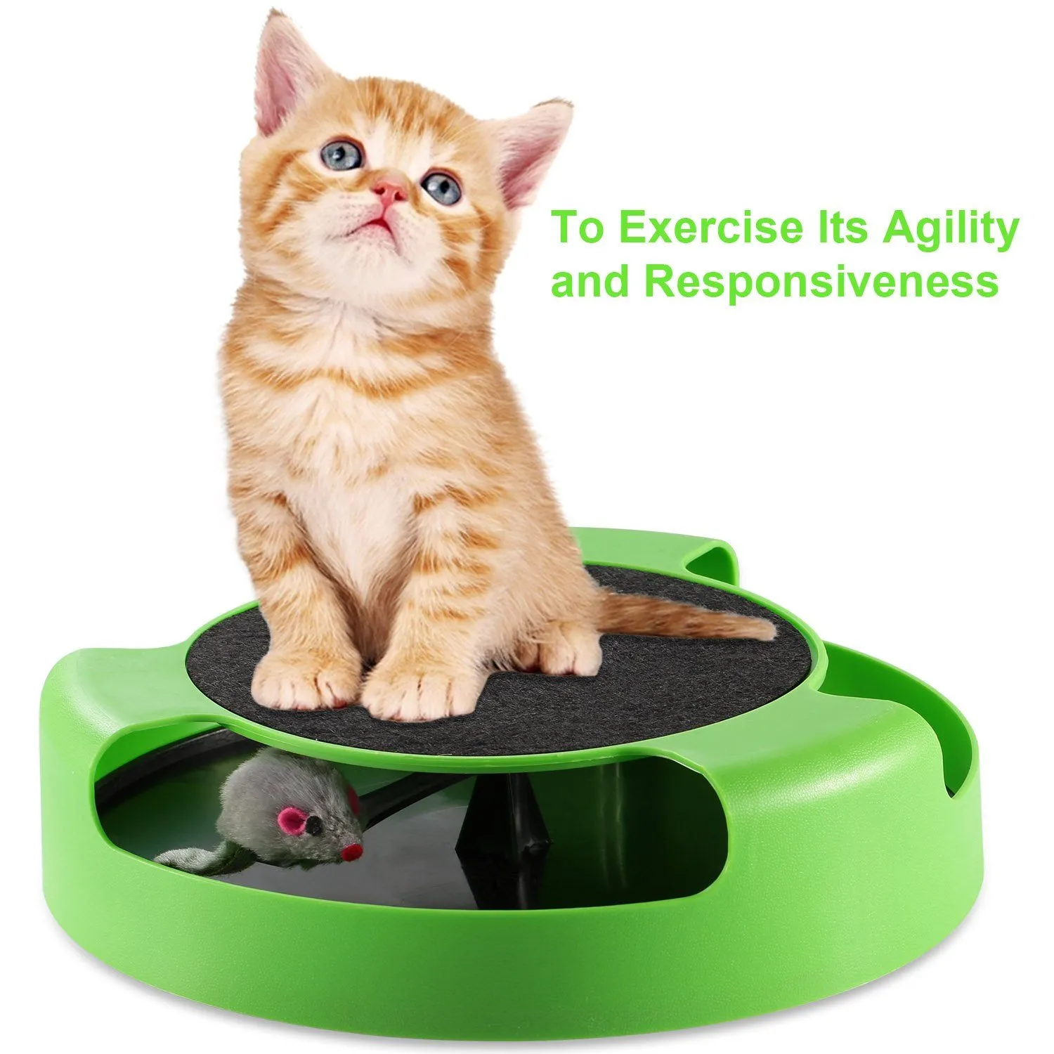 Cat Interactive Scratching Toy with Rotating Running Mouse