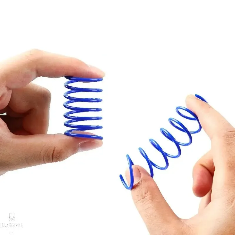 Cat Spring Toys