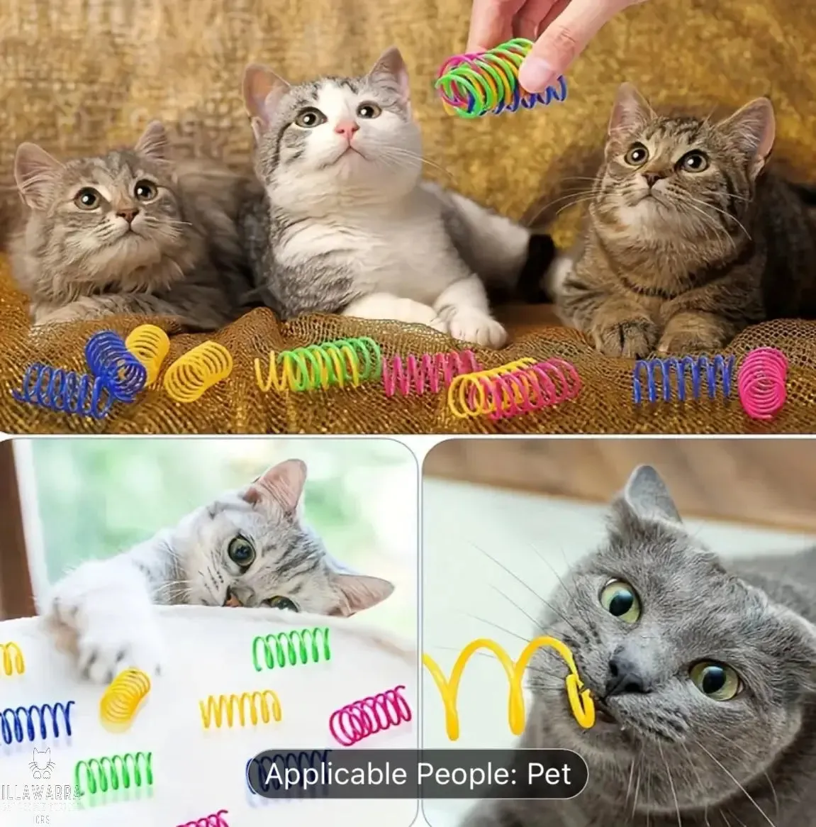 Cat Spring Toys