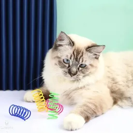 Cat Spring Toys