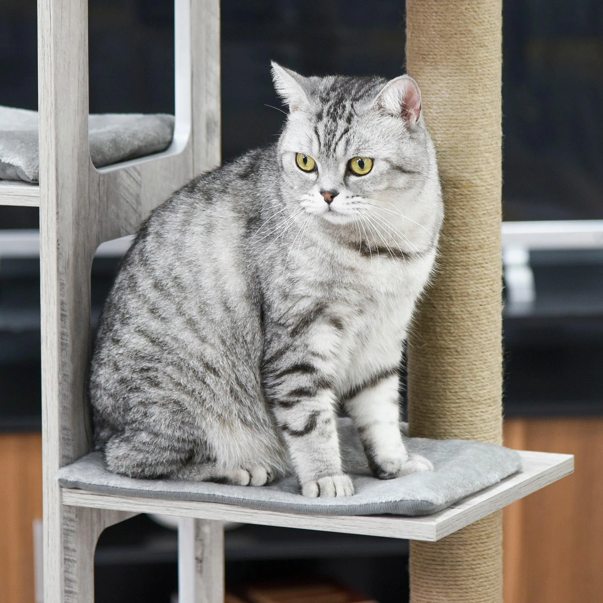 Cat Tower Condo with Jute Scratching Post, 114cm - Grey