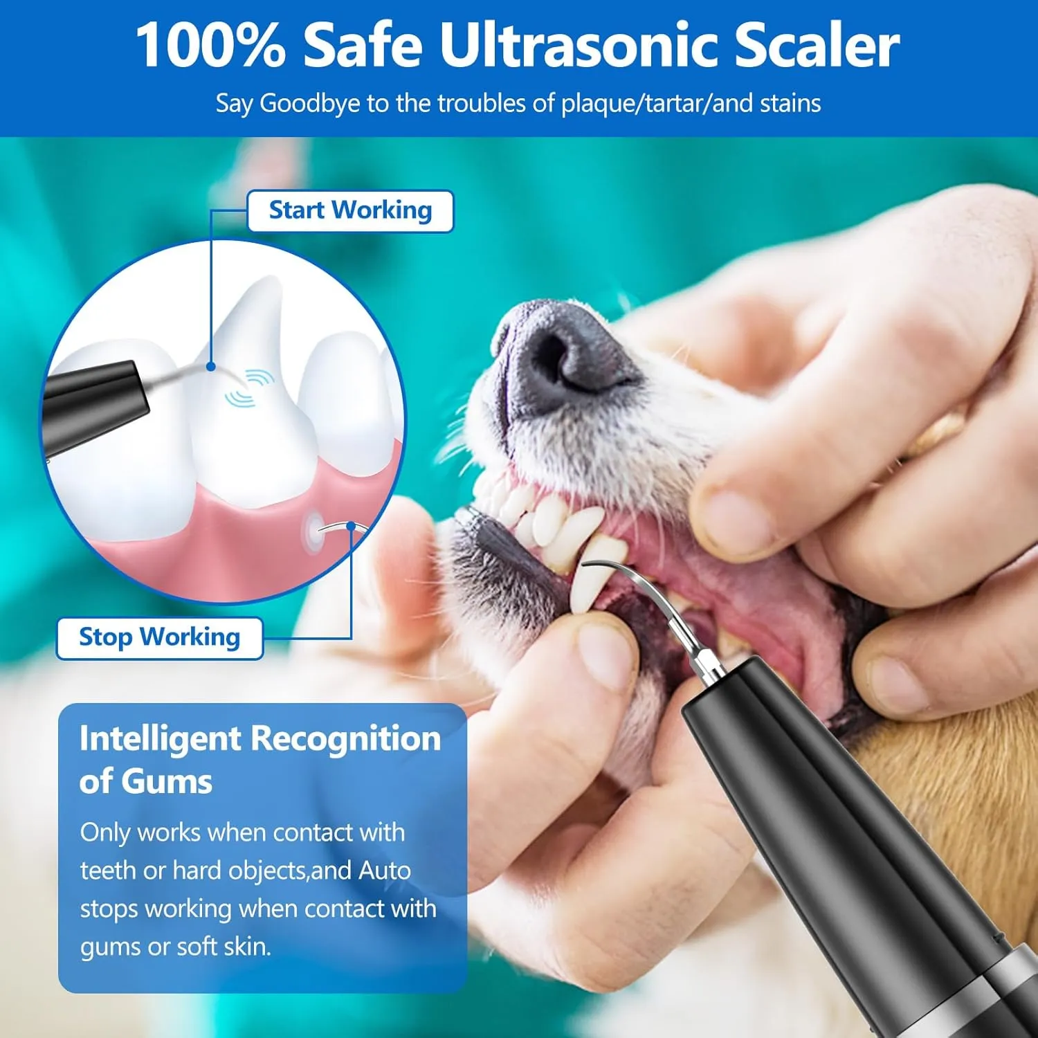 Dog Plaque Remover for Teeth,Pet Ultrasonic Tooth Cleaner,Teeth Cleaning Kit -Tartar Remover for Teeth Stains for Dogs and Cats (Black)