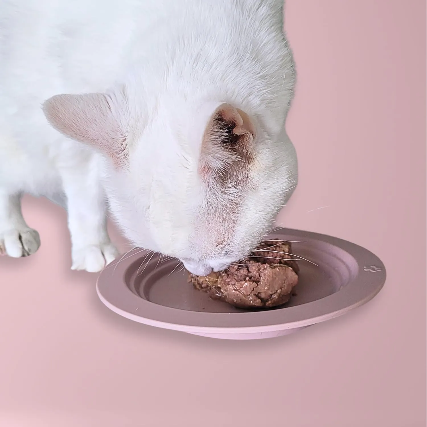 EcoLeo Whisker Friendly Cat Dish for Food, 3rd Party Certified Non-Toxic Silicone, Anti Whisker Fatigue, Low Profile, Shallow, Non Slip, Cat Dog Kitten Feeding Dish_Green