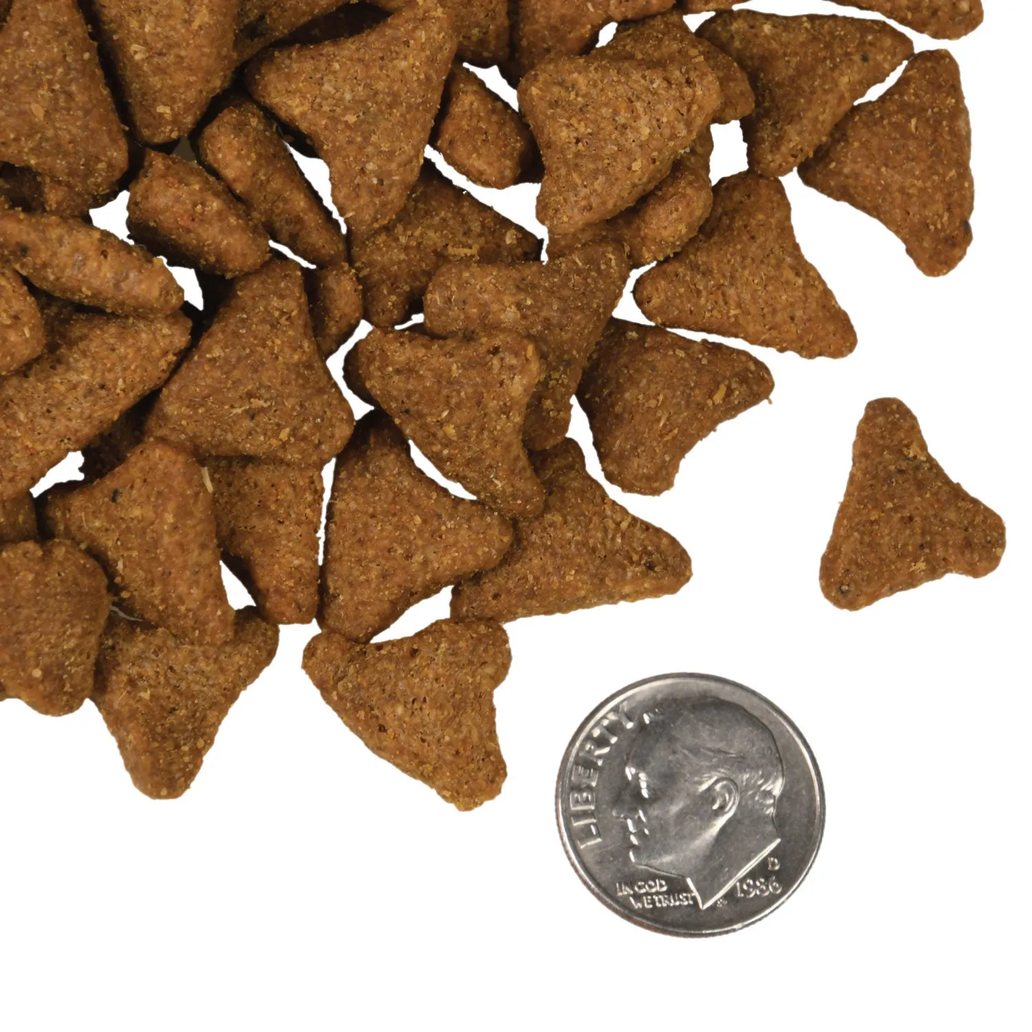 Fromm 4 Star Beef Frittata GF Dog Dry Food
