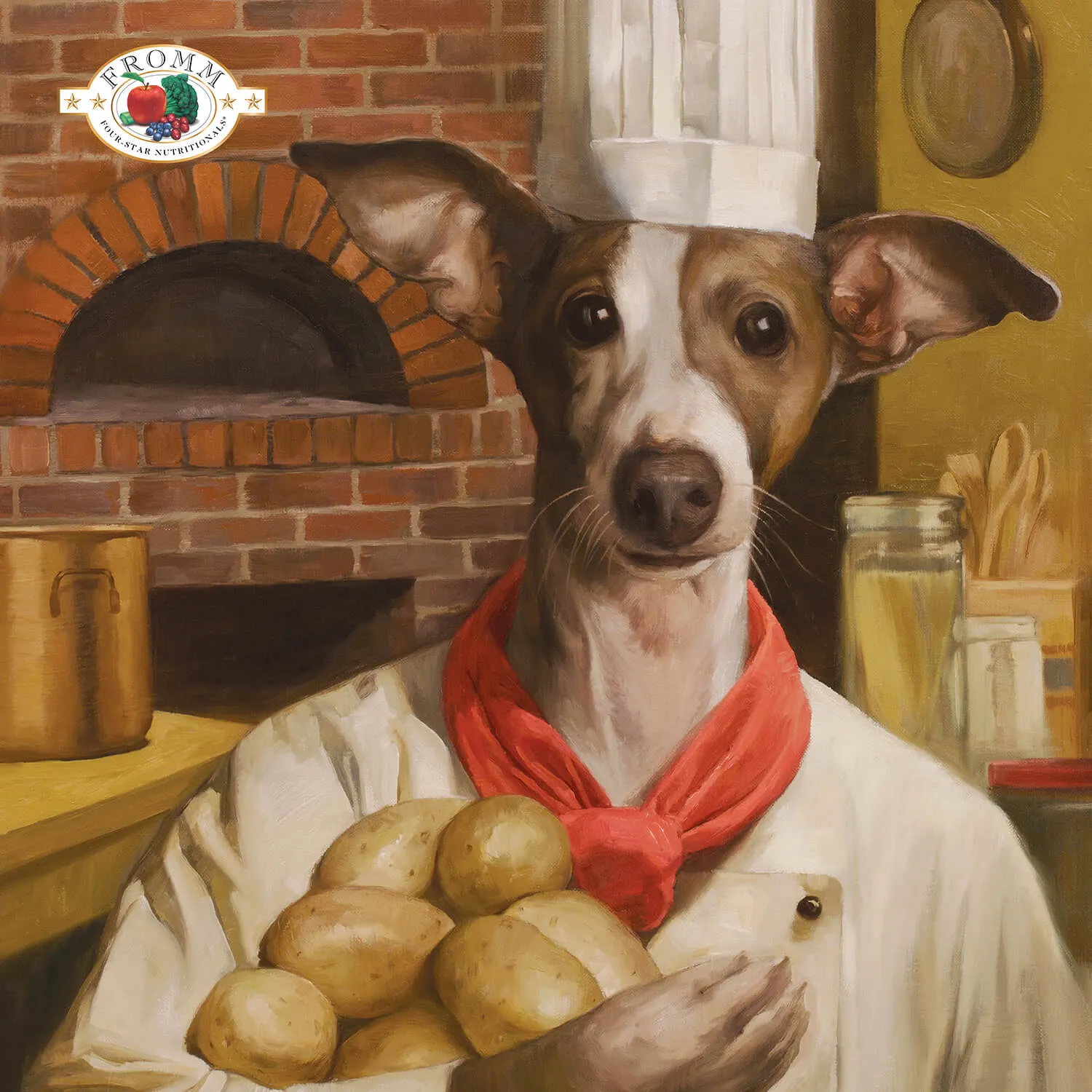 Fromm 4 Star Beef Frittata GF Dog Dry Food
