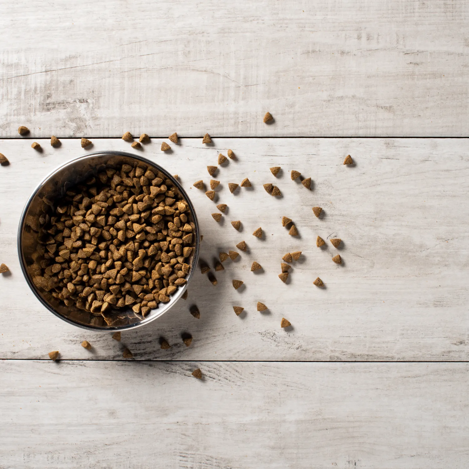 Grain Free Carnivore's Choice Recipe