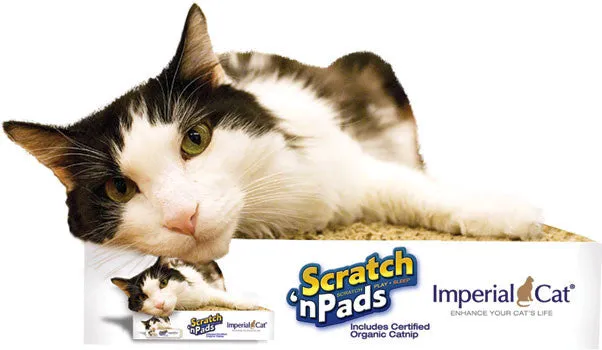 Mega Scratch 'n Pad
