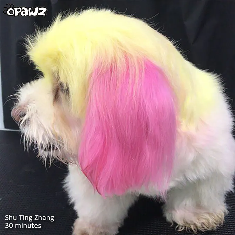 OPAWZ Funky Color Shampoo - Fuschia - 500ml (FC08)