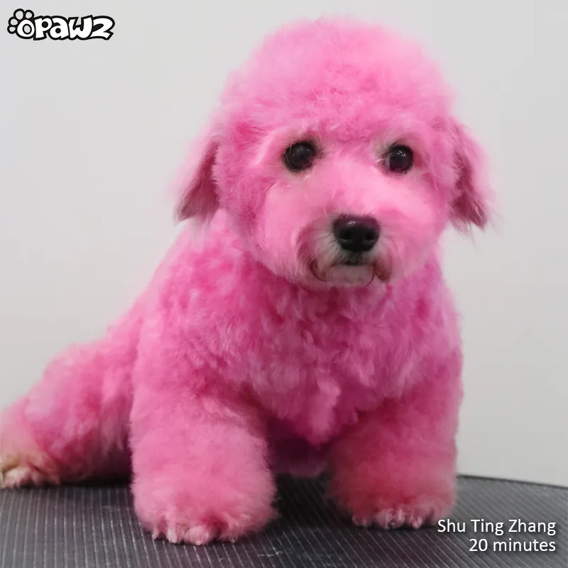 OPAWZ Funky Color Shampoo - Fuschia - 500ml (FC08)