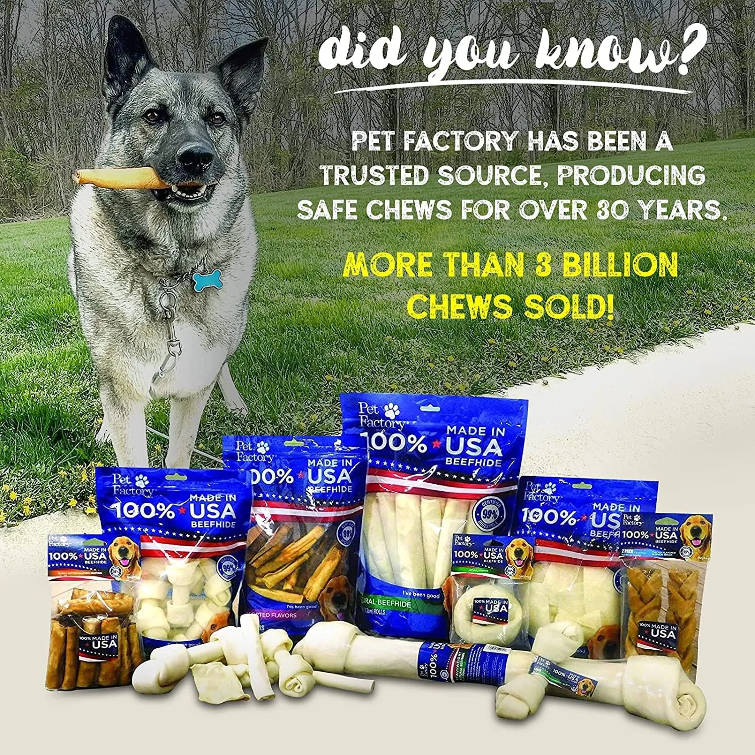 Pet Factory 100% Made in USA Beefhide 4" Knotted Bones Dog Chew Treats - Peanut Butter Flavor, 24 Count/1 Pack