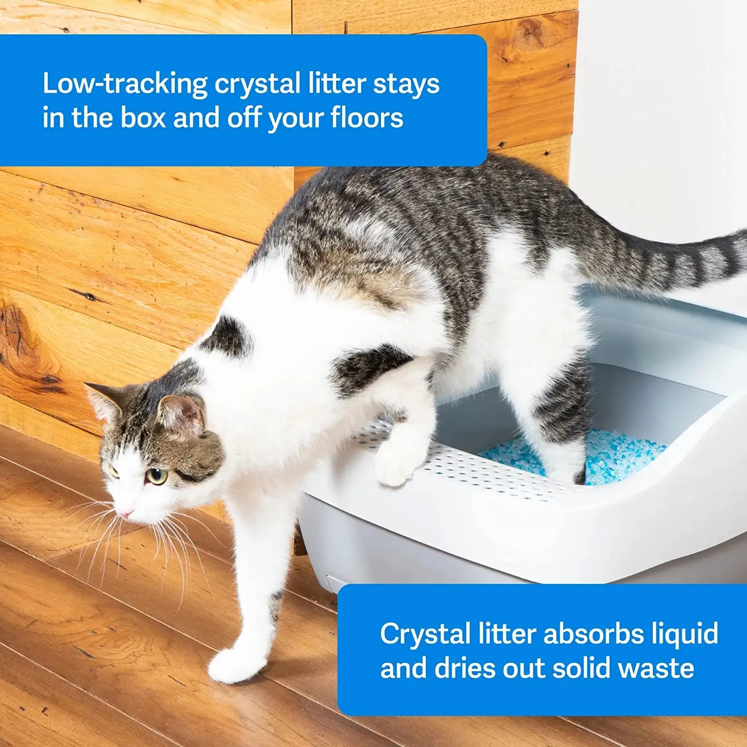 PetSafe ScoopFree Premium Crystal Non-Clumping Cat Litter - Fresh, Low-Tracking Odor Control - 2-Pack Refills, 4.5 lb per Pack (9 lb Total) - Original Blue