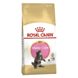 Royal Canin Maine Coon Kitten Dry Cat Food