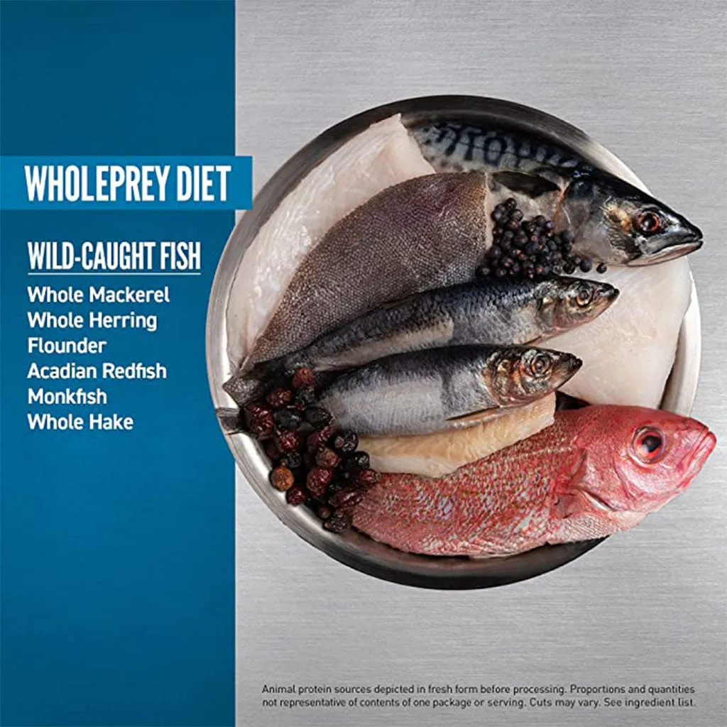 Six Fish for Cats Grain Free Dry Food