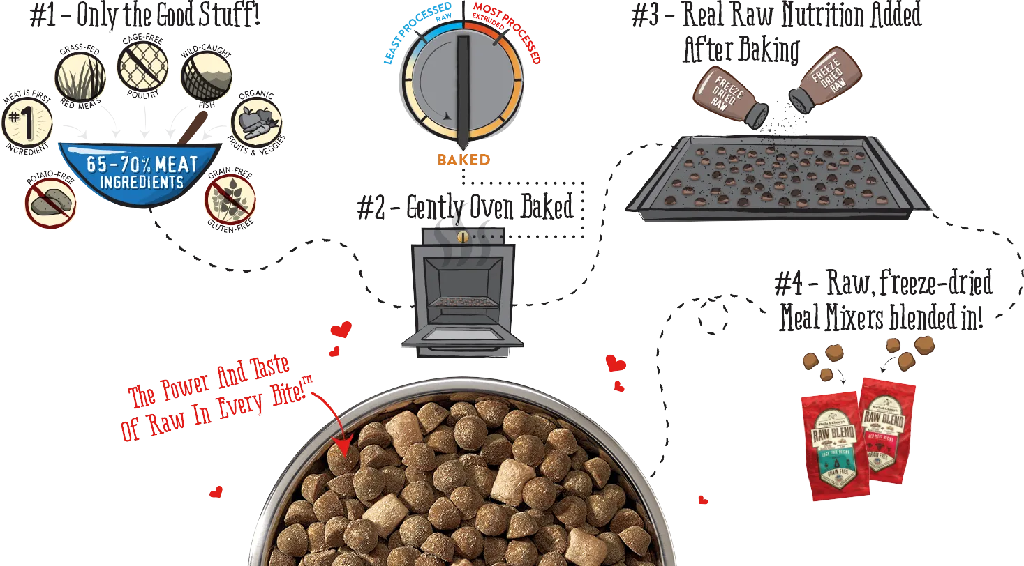 Stella & Chewy's Dry Dog Food Raw Blend Grain-Free Cage Free Recipe