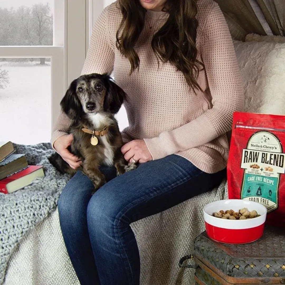 Stella and Chewy's Cage-Free Grain-Free Raw Blend Baked Kibble Dry Dog Food