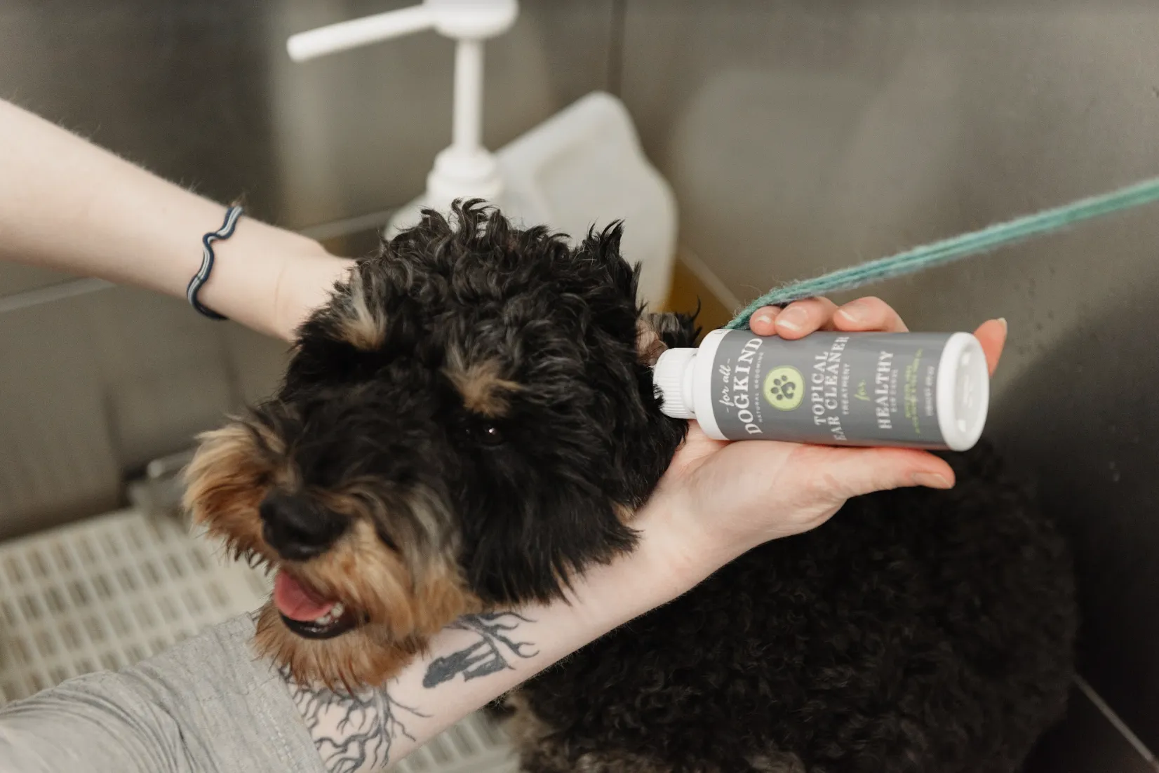 TOPICAL EAR CLEANER FOR HEALTHY EAR CANAL - TRADE