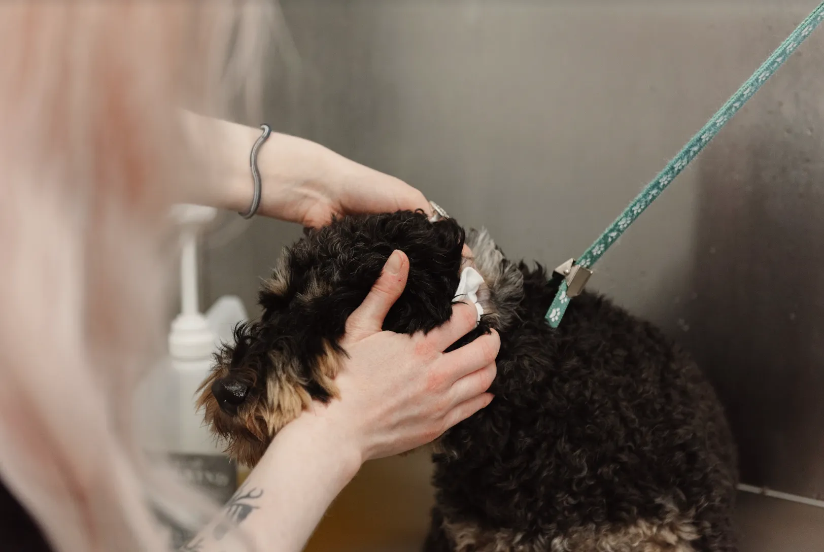 TOPICAL EAR CLEANER FOR HEALTHY EAR CANAL - TRADE