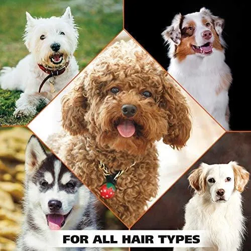 Wahl Pet/Dog 4-in-1 Lavendar Chamomile Shampoo and Conditioner