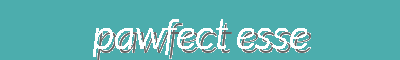 Pawfect Essentials | Premium Pet Food, Toys, Cleaning & Grooming Supplies